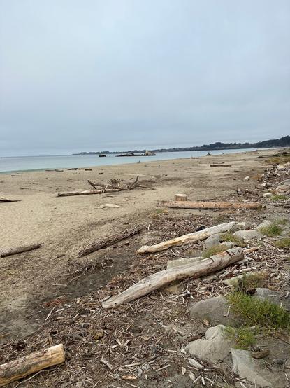 Seacliff State Beach with the remains of the SS Palo Alto and in the background are Capitola and Pleasure Point.