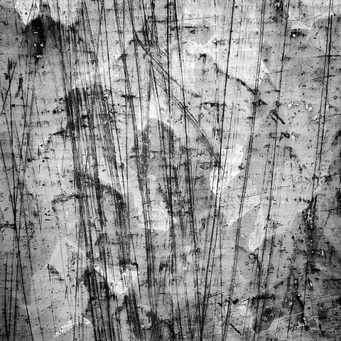Mono abstract of shed door