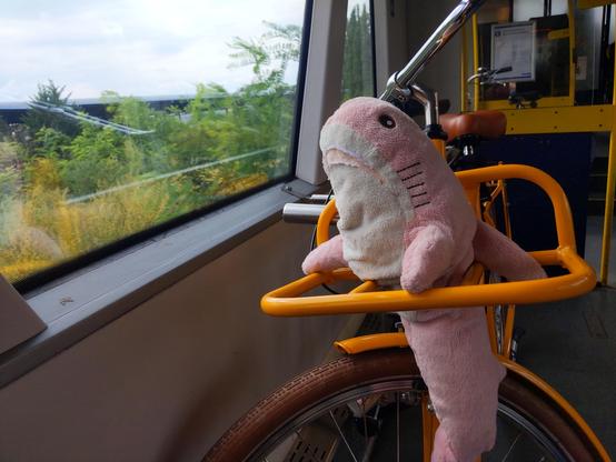 Rosåhaj on her bike in a class 640.