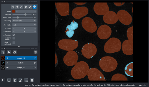 Screenshot of Napari showing the original image and my annotations on the label layer.