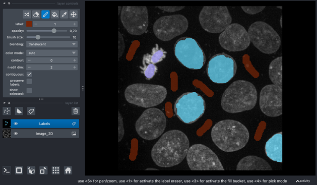 Predictions by the trained random forest classifier overlayed on the original image in Napari.