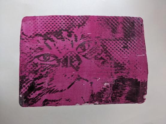 Gel plate print of a cat in black acrylic with a bright pink background.