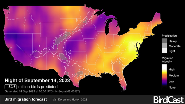 map of bird intensity