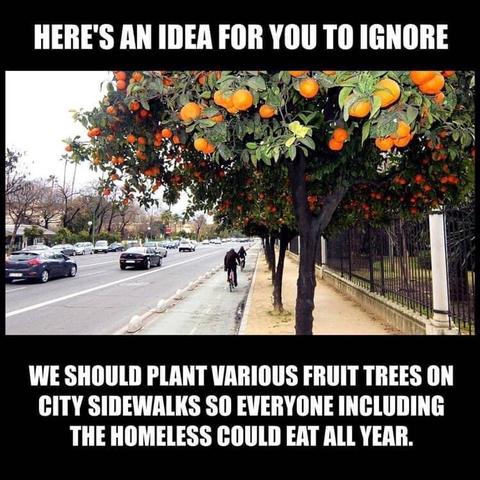 “WE SHOULD PLANT VARIOUS FRUIT TREES ON CITY SIDEWALKS SO EVERYONE INCLUDING THE HOMELESS COULD EAT ALL YEAR.”