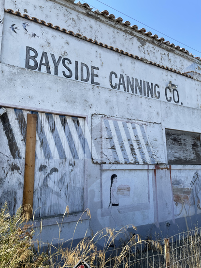 Remains of a cannery factory with artwork on the walls