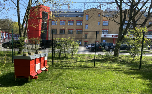 Bienenstöcke vor der alten Försterei