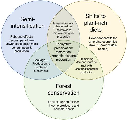 A three-pillar approach for preventing zoonotic disease emergence and reducing environmental impacts from animal agriculture (center).
Within individual circles and the intersections between the two, limitations of adopting only one or two strategies are described.