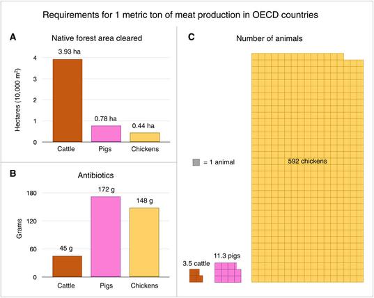 Requirements to produce 1 metric ton of meat (dressed carcass weight), averaged among all OECD countries and weighted by production quantity, base year 2010.
(A) Hectares required for the production of animal feed (crops, pastures, and forages) in natively forested areas, calculated by the author from geospatial potential vegetation data and agricultural production data in (9) and sources therein. (B) Grams of antibiotics used, derived from (74). (C) Number of animals required for slaughter, from United Nations FAOSTAT (105). OECD, Organization for Economic Co-operation and Development.