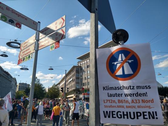 Im Vordergrund Fahrrad-Wegweiser und Protestplakat gegen Straßenbau, dahinter Klimastreikdemo.
