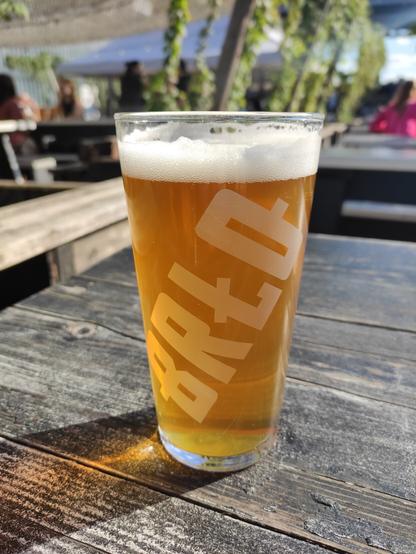 Ein Glas Helles in der Sonne.