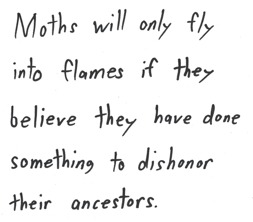 Moths will only fly into flames if they believe they have done something to dishonor their ancestors.