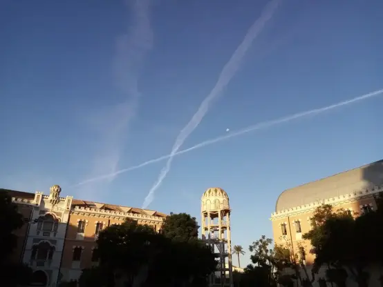 X's en el Firmamento.