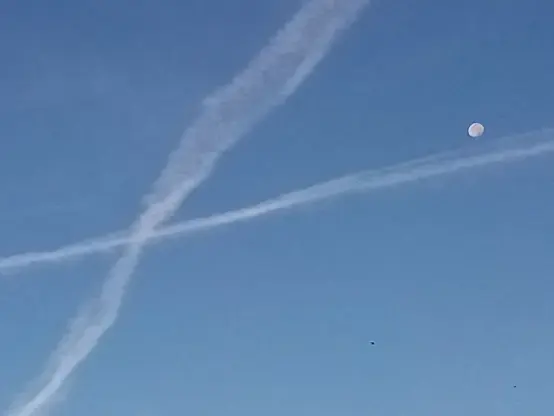 X's en el Firmamento.