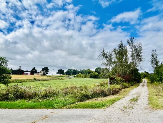 A picturesque mackerel sky over the greenery of the trail at a crossroads. We’re in farm county, but we’re also somewhere wild. It is invigorating.