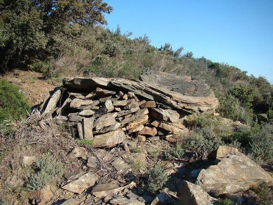 Vue du Dolmen de la Coma Enestapera entouré de broussailles