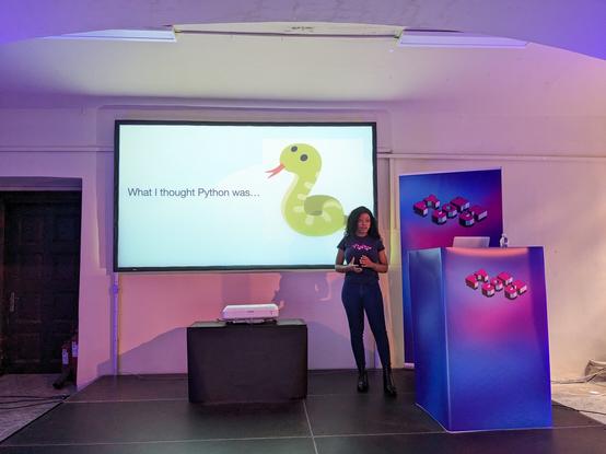 Domitil did not know that Python is a programming language in the first place