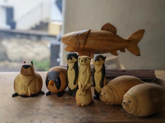 Ensemble de sculptures sur bois sur un établi. Une capybara, un panure a moustache, 3 loutre dont 1 albinos, un lapin et deux phoques. Au fond un dunkleosteus.