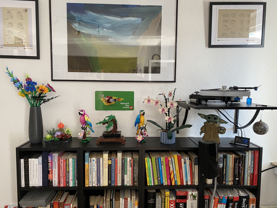 Lego auf meinem Bücherregal: Wildblumenstrauß, Sukkulenten, Pinker Papagei, Bonsai, blauer Papagei, Orchidee & Grogu (letzterer unterm Plattenspieler)