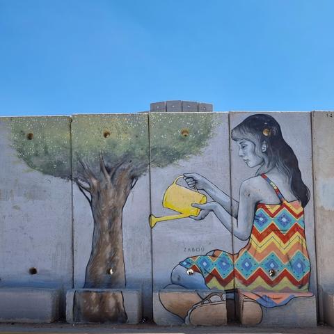 A mural across several chunks of grey cement wall, with delicate line work. It features a young woman sitting on the ground, wearing a colorful patterned sun dress. She is watering an olive tree with a big yellow watering can. The artist has signed it "Zabou". The girl would be taller than the tree or wall if she were standing.