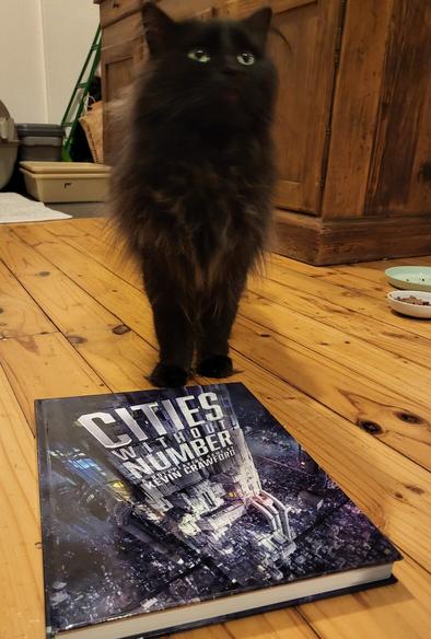 Button the black cat standing over my copy of Cities Without Number by Kevin Crawford, which lies at his feet on the timber kitchen floor.