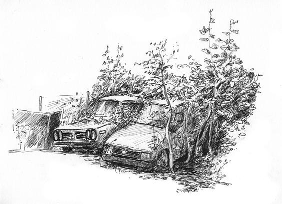 Two overgrown cars