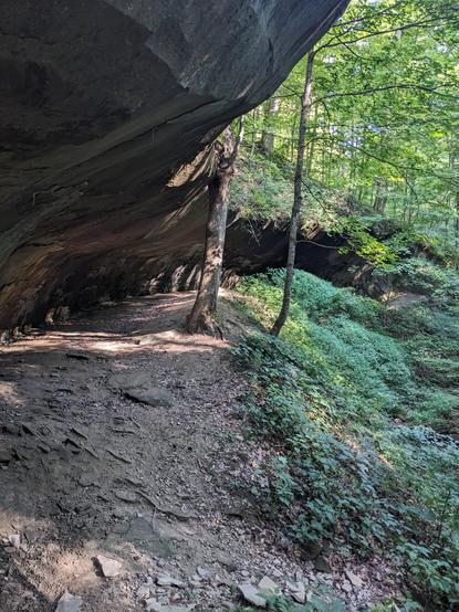 Inside Rock Shelter