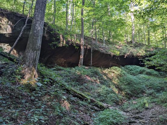 Rock Shelter from below.