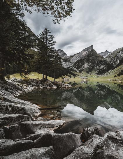 Scene is a mountain lake on a calm, cloudy morning. On a peninsula, you can see trees, and in the background, there are beautiful mountains reflected in the water.