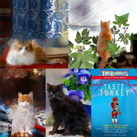 A collage of drawings of street cats in Istanbul and the Barras Market poster.