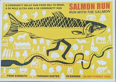 Yellow poster for the Festival of the River Exe's Salmon Run