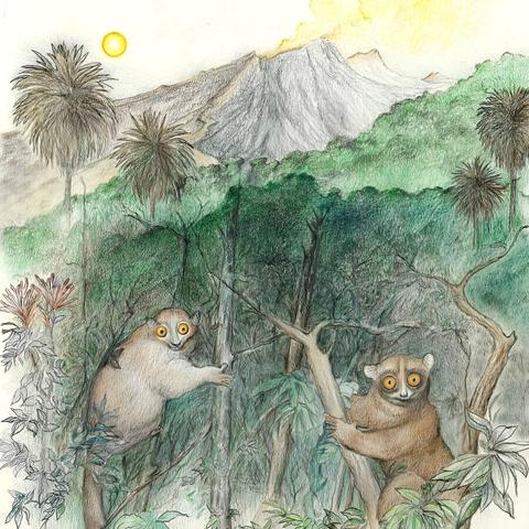 Artist's reconstruction of the two species described in the paper. The volcano on the skyline is a reminder of the active volcanism that was occurring in this part of Texas during the Eocene and Oligocene epochs.