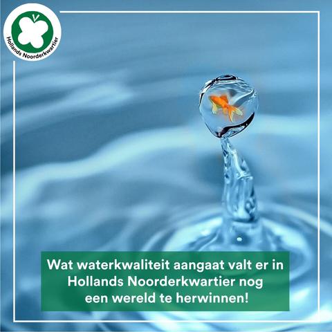 Goudvis in een waterdruppel
Tekst: Wat waterkwaliteit aangaat valt er in Hollands Noorderkwartier nog een wereld te herwinnen.