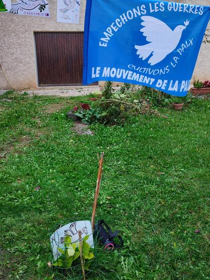 Journée internationale de la paix. Magnolia
Musique des arbres.