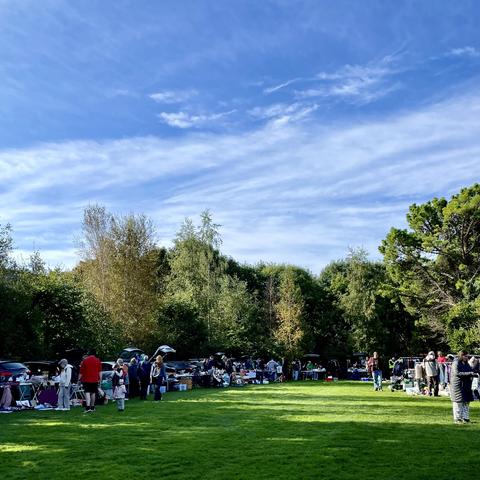 Field with trees and blue skies. Cars with open boots/ trunks and people milling around.