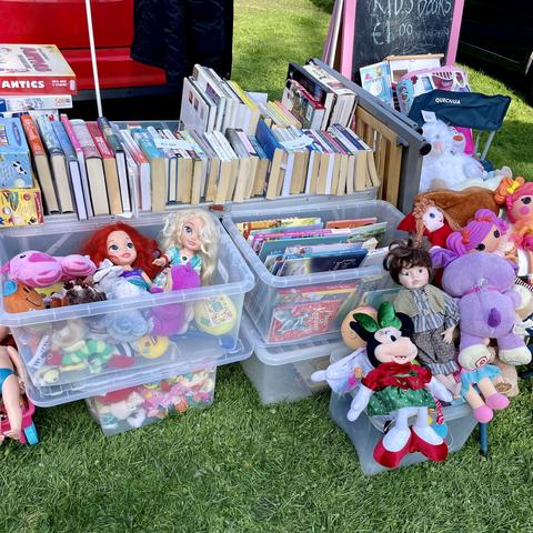 Assorted bric a brac, dolls and books on a lawn.