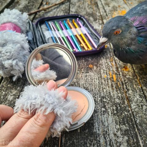 Un peu la même photo que les deux premières mais sur la droite on voit la tête grise ébouriffée de Chocolat, un des pigeons que je côtoie.
