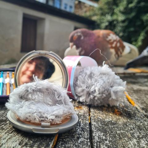 Un peu la même photo que la seconde mais en arrière plan flou on voit Roux-Blanc, un des pigeons que je côtoie. On voit aussi mon visage, très flou, dans le miroir.