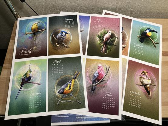 Stack of printed "proofs" of a trial run of images for a calendar. Several large sheets of paper with multiple calendar pages on them.