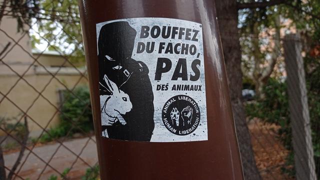 autocollant avec une personne tout en noir, et cagoule de même couleur, tenant un lapon blanc dans ses bras. Slogan "bouffez des fachos, pas des animaux" avec logo "animal liberation . human liberation" comprenant une patte de chien et un point levé côte a côte

sticker with an person weared in black, with hood, and a white rabbit in her arm. "eat fascist not animals" with logo "free animal. free human" with dog paw and human fist