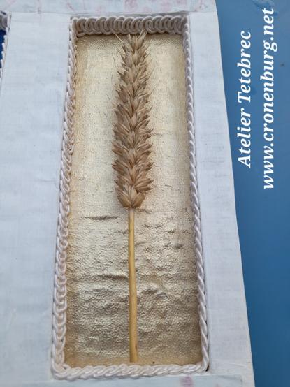A real dried ear of corn on golden fabric in a rectangular recess of a cardboard shrine. The edges are lined with fine white braid, and the shrine is painted with white gesso.
