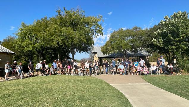 Group photo of a line of greyhounds and their owners.

Photo Credit: Lori Bandi - Copyright reserved, permission granted to me to share
