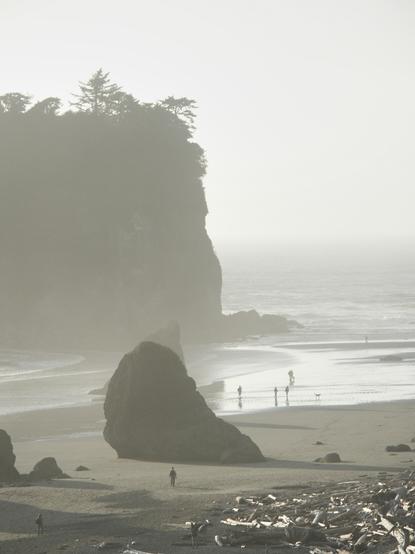Sea stacks disappearing into a light fog on Ruby Beach, the low sun bathing everything in a soft pastel light.