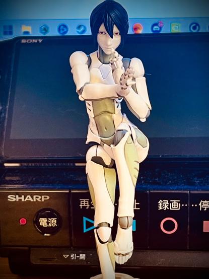 A toy figurine posing in a karate pose