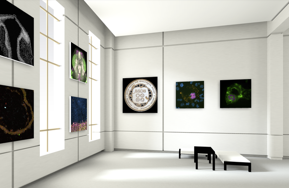 Image of a virtual art gallery