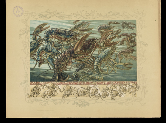 Plate 2, color lithograph, Art nouveau style, swimming lobsters