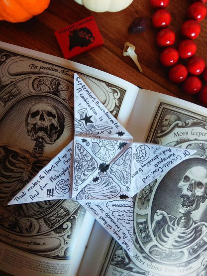The letter is opened, black and white inside. Has some poetry written and some sketches of internal organs. 
On the background: a book with a spooky art (skeletons), some pumpkins, a matchbox (red), a bone, red jewelry.