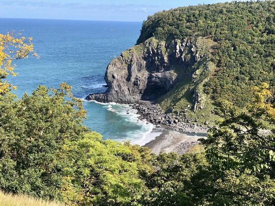 Looking down from a high cliff face, at a river mouth on the northern coast of the Shiretoko peninsula. In the foreground a short grassy patch gives way to a line of green, leafy deciduous trees. Beyond the trees, a short beach in the distance runs vertically before ending at the river mouth. The other side of the river is a rocky shoreline at the base of a cliff approximately 150 metres tall. The top of the cliff is covered in forest. A deep blue-green sea is to the left. The horizon is high up the image, just one-eighth from the top. If you zoom in very closely, you can just about make out the mother bear and her cub at the mouth of the river, as dark, blurry forms.
