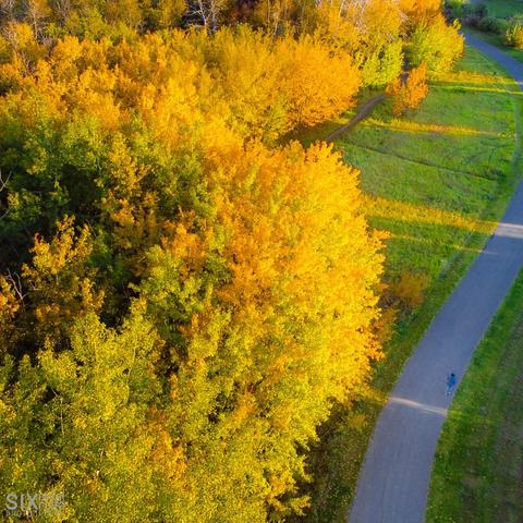 Trees with yellow and orange leaves on the left half of the photo.  There is an asphalt path on the right side of the photo with a person walking on it.