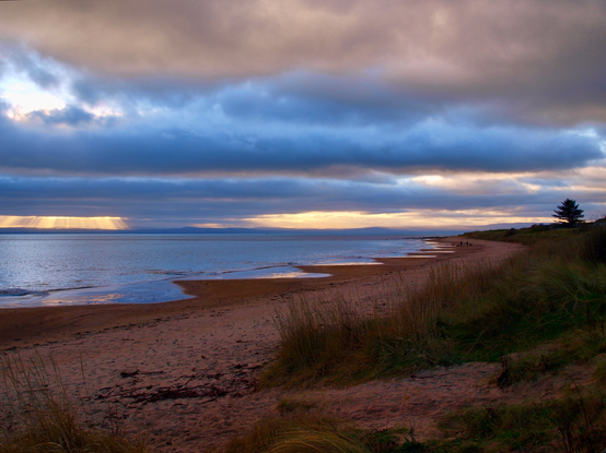 White grey blue sky with cloud layers suns rays steaming on the left mountains a distant blue. Tide line picking up the early sun. A lone pine almost silhouetted. At the fore a rusty  coloured beach  with maram grass