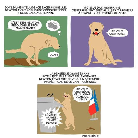 Bd en 3 images signée Popolitique mettant en dessin un chien genre labrador couleur crème Image 1 Titre "doté d'une intelligence exceptionnelle, Newton Newton avait acquis une compréhension fine du langage humain" Dessin du chien Newton en position de faire sa crotte au centre d'un tas de terre retournée une bulle venant de l'extérieur du cadre dit "c'est bien Newton, rebouche le trou maintenant !" une bulle de pensée sort du cerveau de Newton qui représente deux engrenages crantés en train de tourner" et une bulle explique que Newton aboie montrant qu'il a compris caption= "ouaf" Image 2 Titre "à l'issue d'un programme d'entraînement spécial, il était parvenu à formuler une poignée de mots" dessin sur fond violet de Newton assis et tirant légèrement la langue une bulle sortant de sa gueule caption= "Je veux...ouaf ! chier !" Image 3 Ttitre "la pensée de droite étant intellectuellement peu exigeante, Newton était vite devenu un acteur de premier plan de ce camp politique" Dessin de Newton pattes avant levées et posée sur un pupitre gris sur lequel sont posés 2 micros derrière lui deux drapeaux l'un français l'autre européen et au pied des drapeaux une belle crotte de Newton il dit "Je veux chier où je veux...ouaf ! Quand je veux !" puis il hurle "Les lévriers arabes...ouaf ! Dehors !"